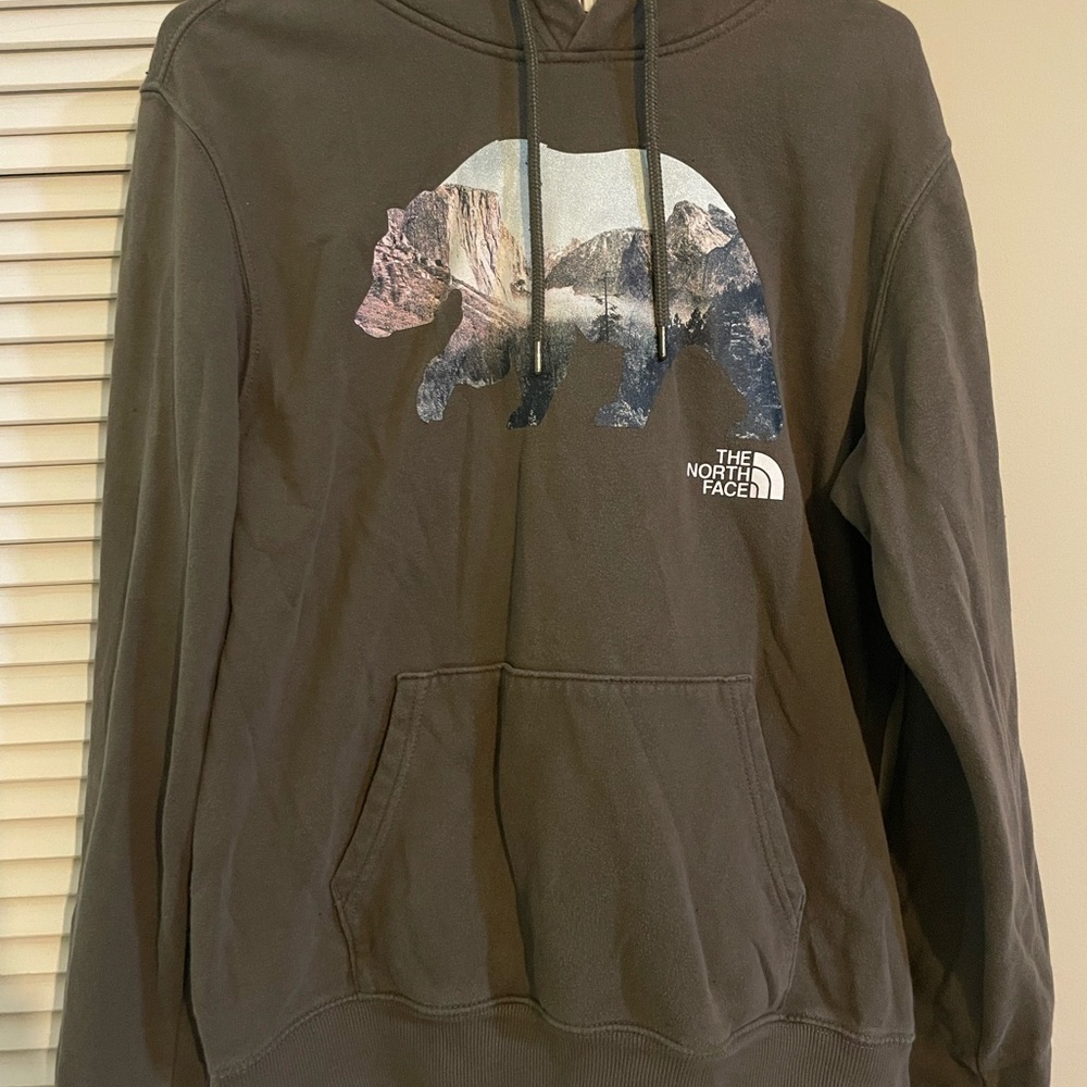 The North Face Brown and Black Hoodie